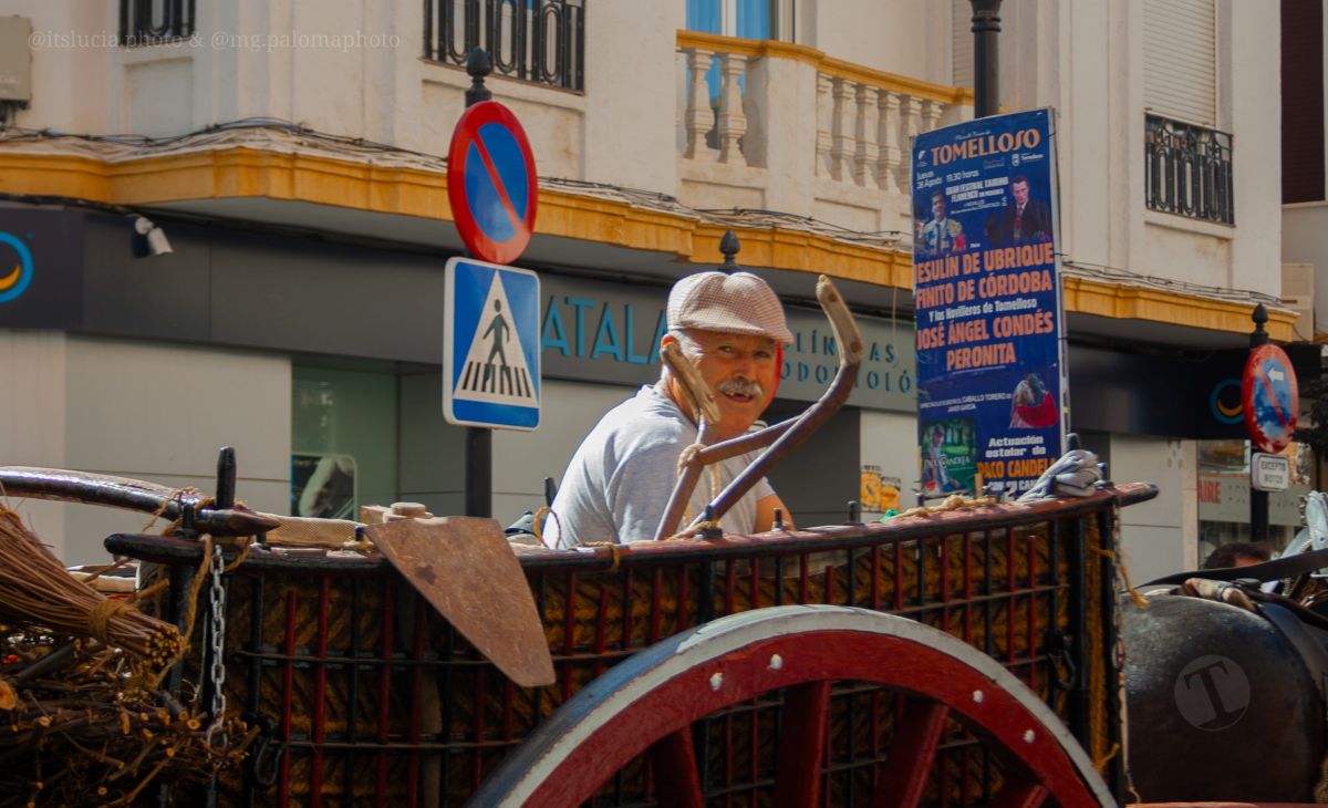 Mulas y carros, tradición viva en la Feria de Tomelloso