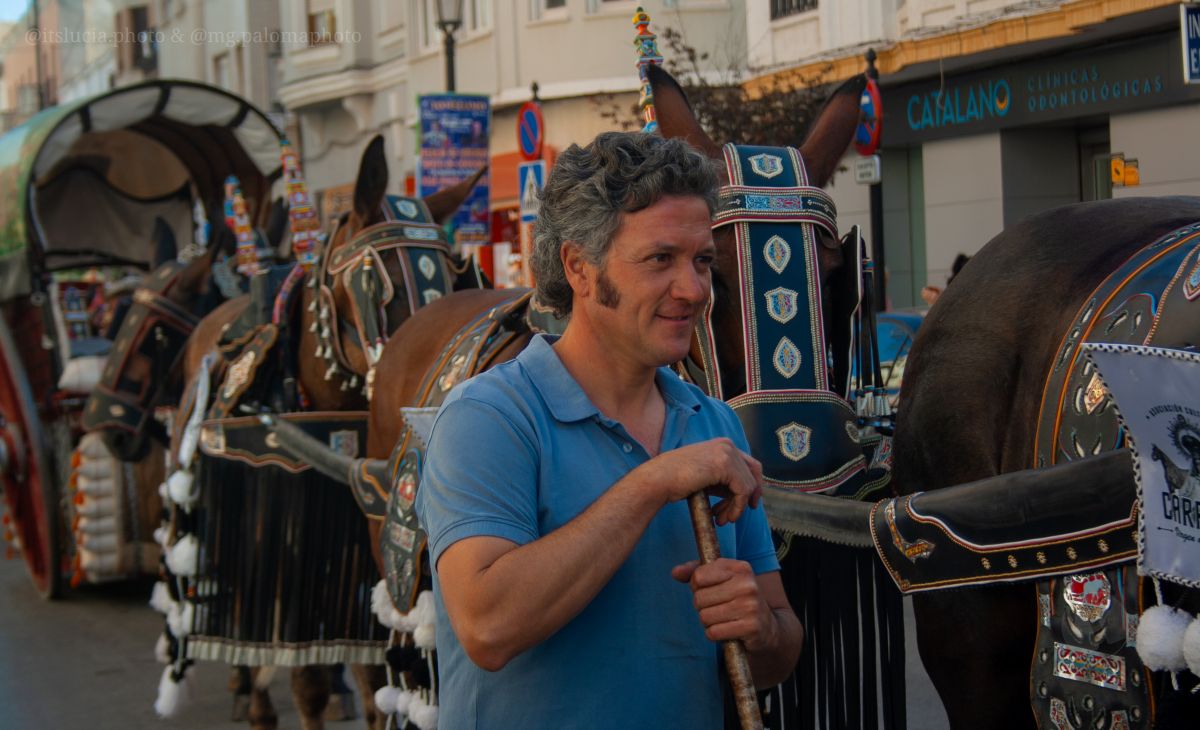 Mulas y carros, tradición viva en la Feria de Tomelloso