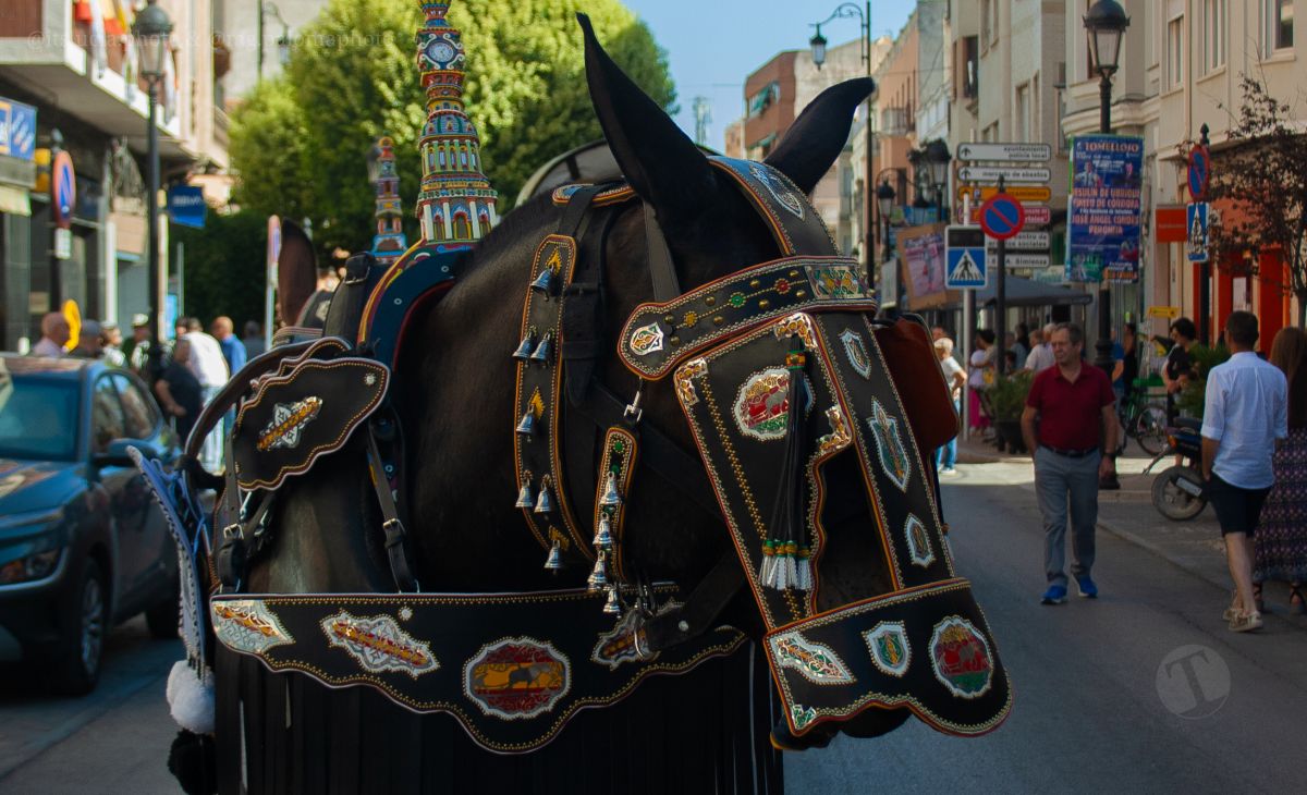 Mulas y carros, tradición viva en la Feria de Tomelloso