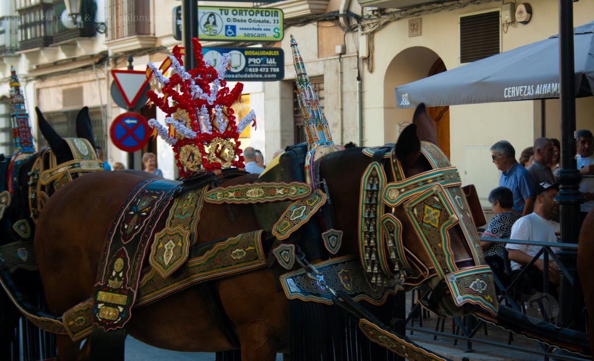 Mulas y carros, tradición viva en la Feria de Tomelloso