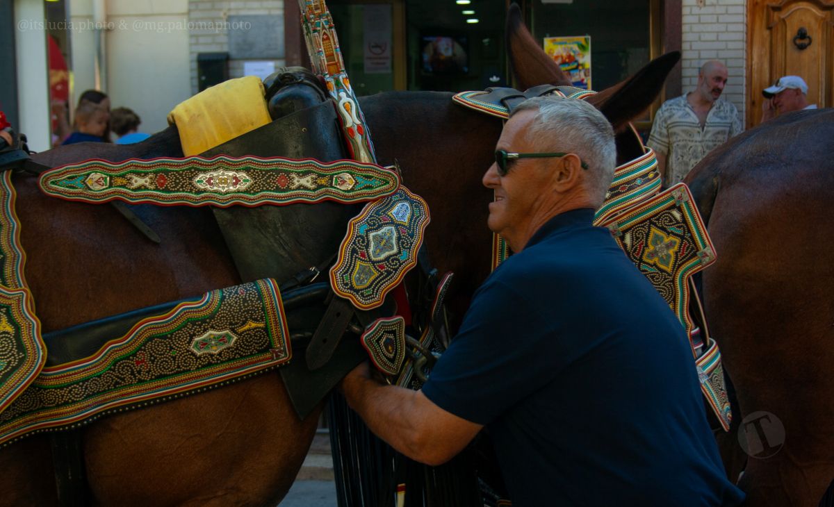 Mulas y carros, tradición viva en la Feria de Tomelloso