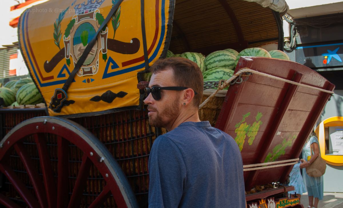 Mulas y carros, tradición viva en la Feria de Tomelloso