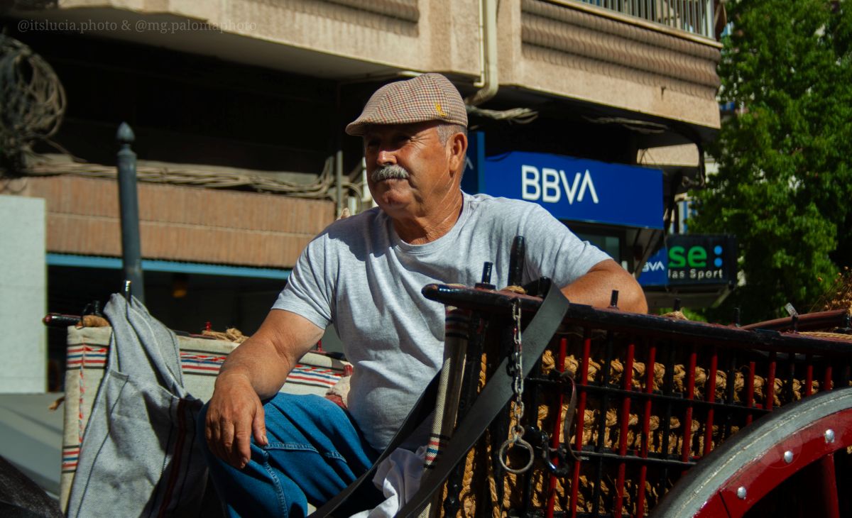Mulas y carros, tradición viva en la Feria de Tomelloso