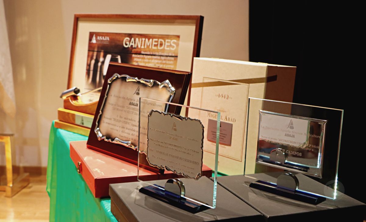 Tomelloso celebra el Día del Viticultor con unidad institucional y reivindicación de precios justos para la uva