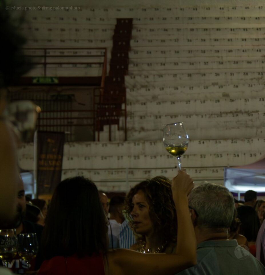 3.000 personas abarrotan la Plaza de Toros en la Fiesta del Vino de Tomelloso