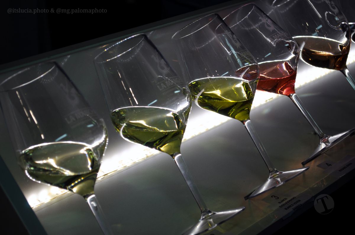 3.000 personas abarrotan la Plaza de Toros en la Fiesta del Vino de Tomelloso