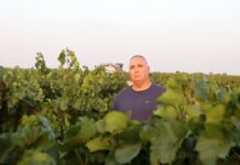 Arranca la vendimia en Tomelloso con buenas previsiones de calidad y producción