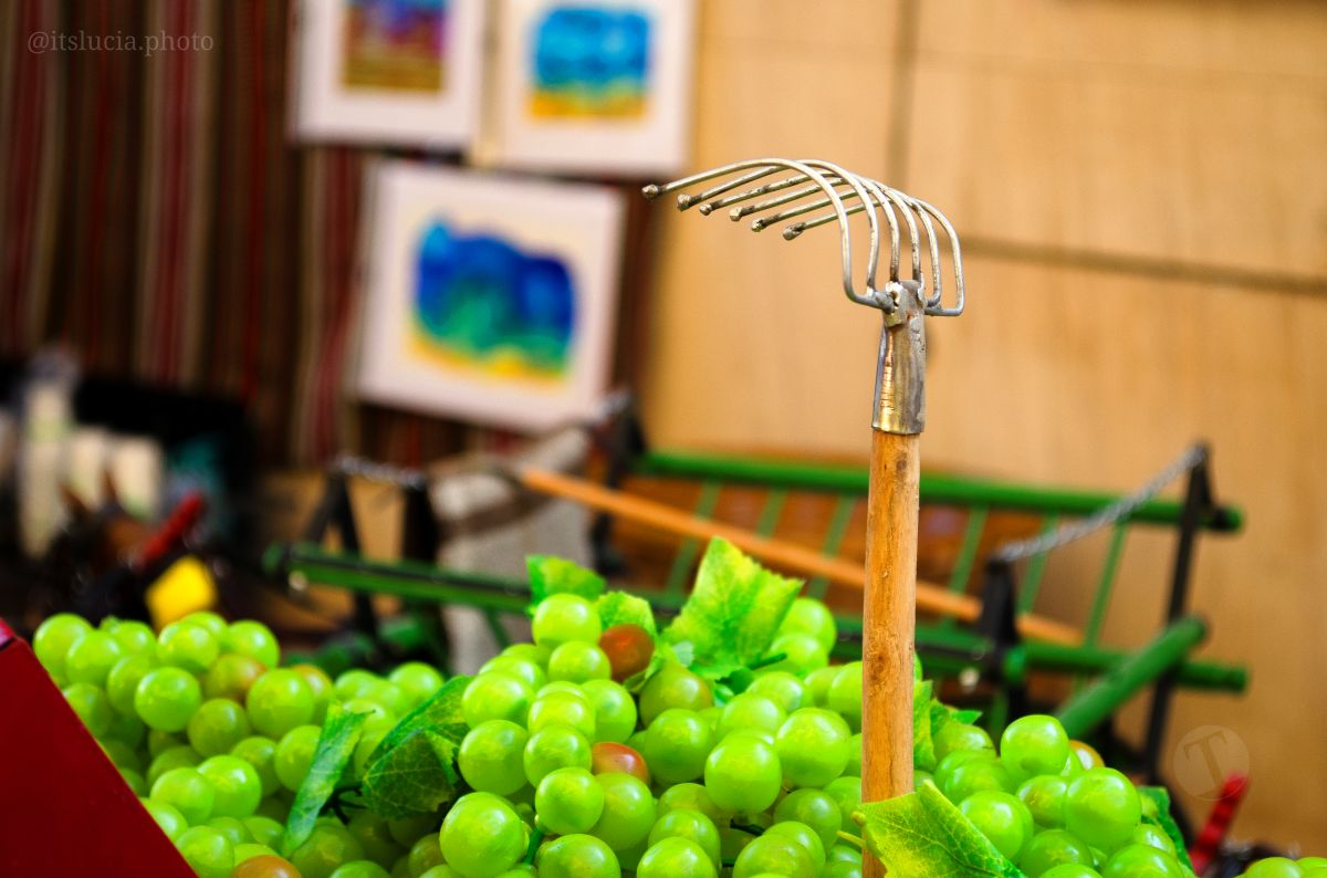 El Mercadillo Tradicional, visto a través de los detalles y el objetivo de la cámara