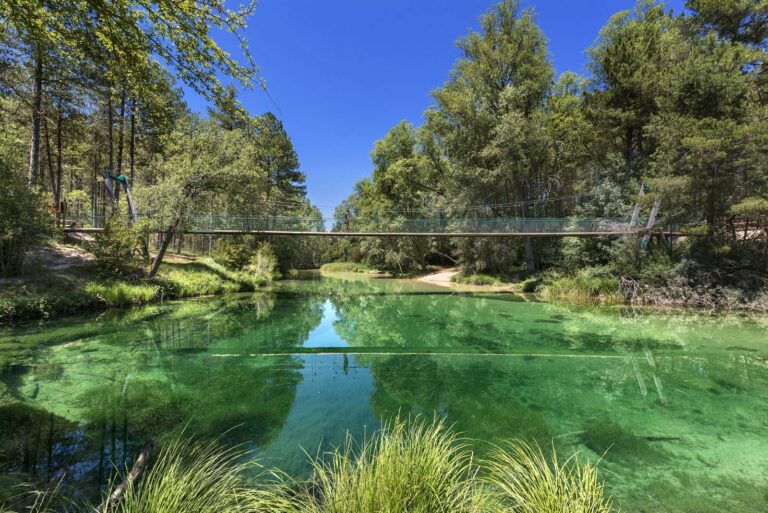 El Parque Natural del Alto Tajo cumple 25 años: ejemplo de conservación y motor de territorio