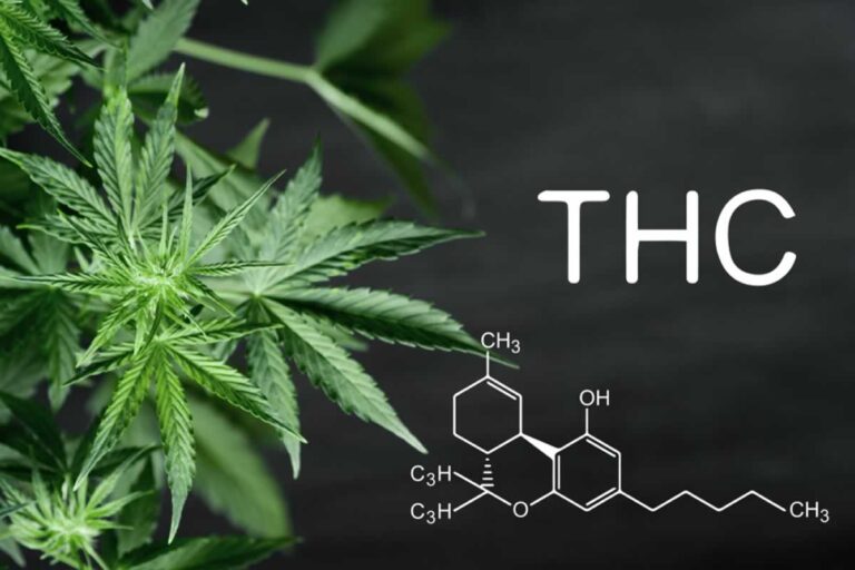 Productos con cannabinoides que mejoran tu bienestar