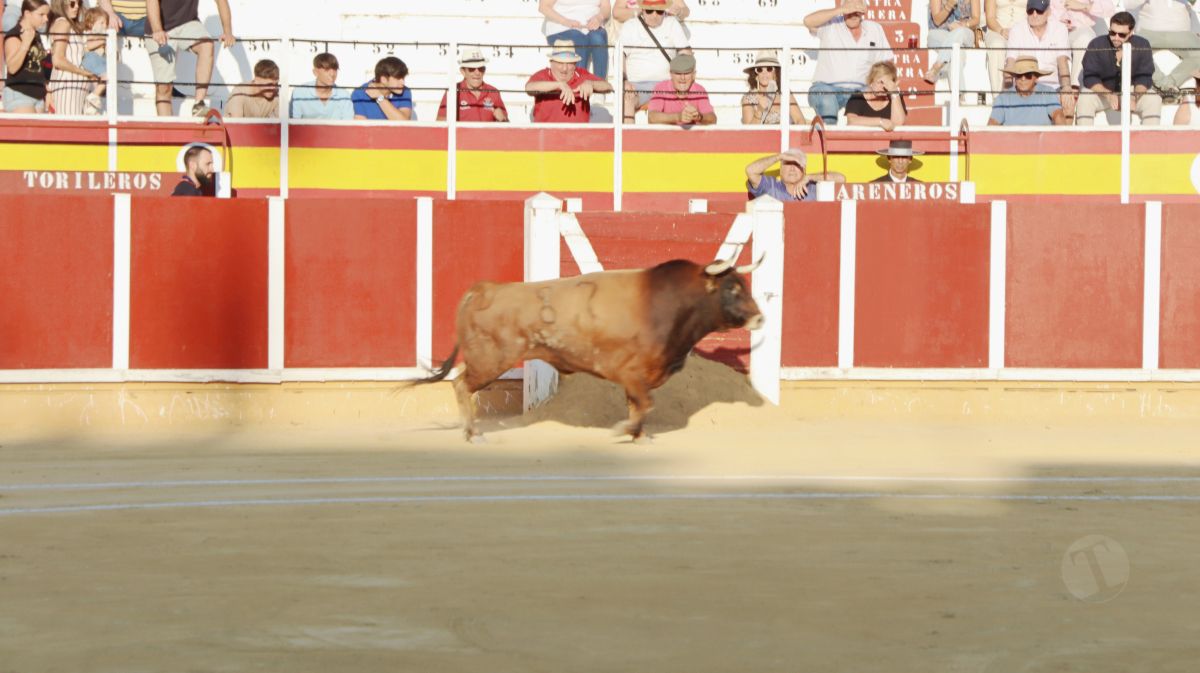 Antonio Linares, gran triunfador de la corrida de Tomelloso con cuatro orejas