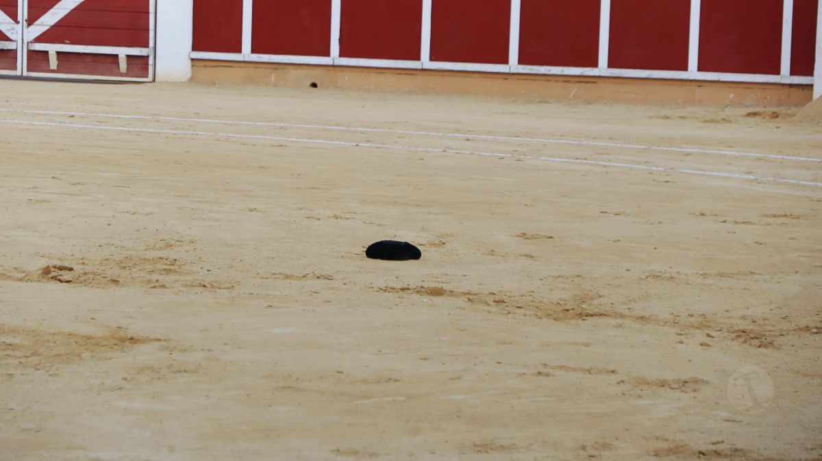 Antonio Linares, gran triunfador de la corrida de Tomelloso con cuatro orejas