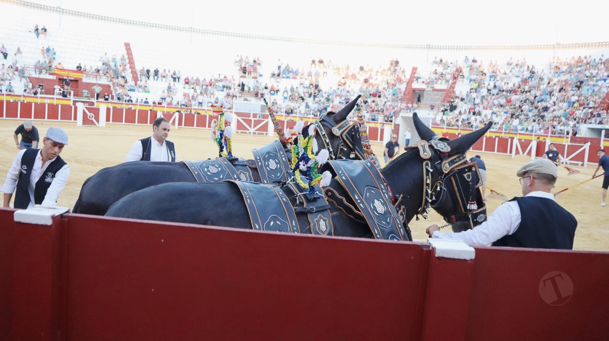 Antonio Linares, gran triunfador de la corrida de Tomelloso con cuatro orejas