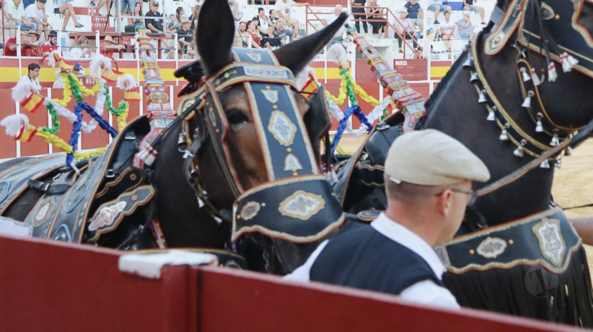 Antonio Linares, gran triunfador de la corrida de Tomelloso con cuatro orejas