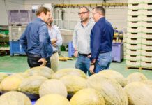 El alcalde de Tomelloso respalda al sector agrícola en la cooperativa Santiago Apóstol