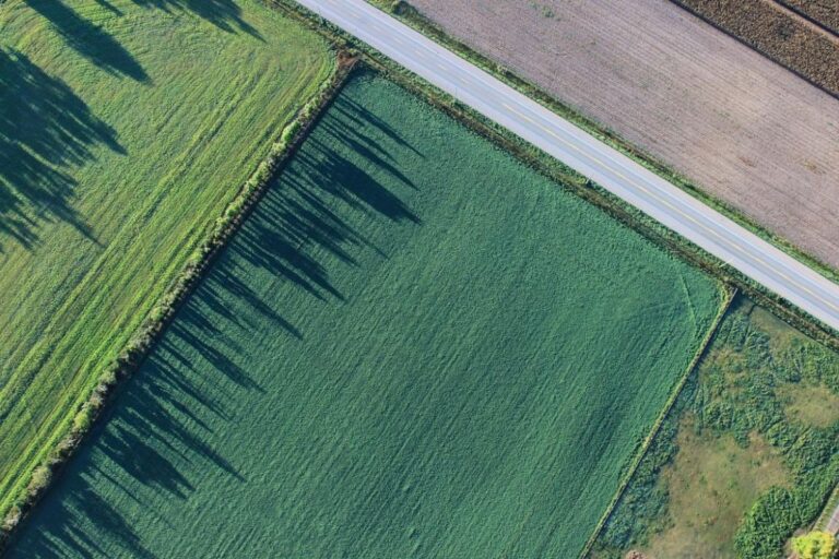 Castilla-La Mancha adquiere más de 24.700 documentos fotográficos a través del Centro Cartográfico