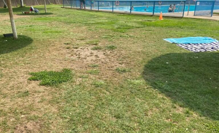 Cruce de reproches entre PSOE y PP por el estado del césped de la piscina municipal de Tomelloso