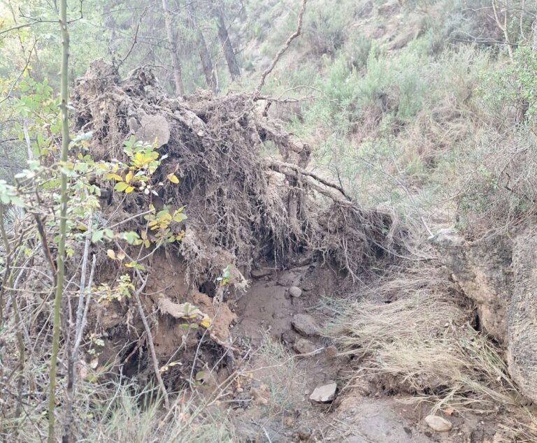 La Junta declara zonas de desastre natural comarcas de Albacete, Cuenca y Guadalajara afectadas por la dana del pasado año