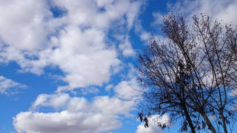 Descenso notable de las temperaturas con la provincia de Albacete todavía en aviso por calor