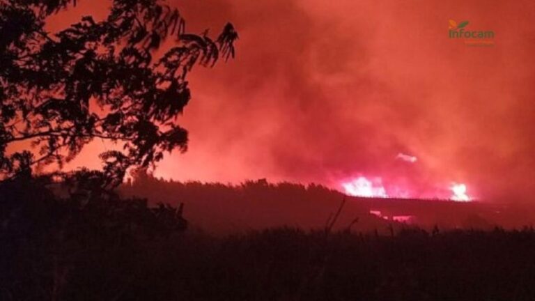 El Gobierno declara ‘zona catastrófica’ territorios en todas las CCAA por incendios y danas