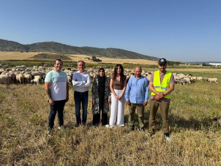 El Gobierno regional ha destinado más de 6 millones de euros en ayudas a la  ganadería en lo que va de año