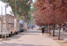 Los tomelloseros cuentan las horas para el arranque de la Feria 2025