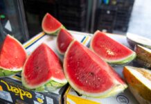 Asaja advierte de que los precios del melón y la sandía no cubren los costes de producción