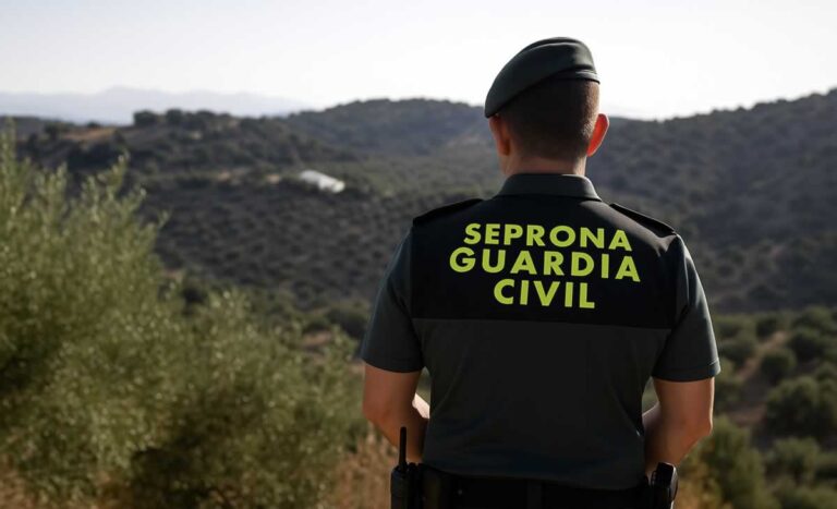36 investigados por delitos medioambientales en Ciudad Real durante el primer semestre de 2025