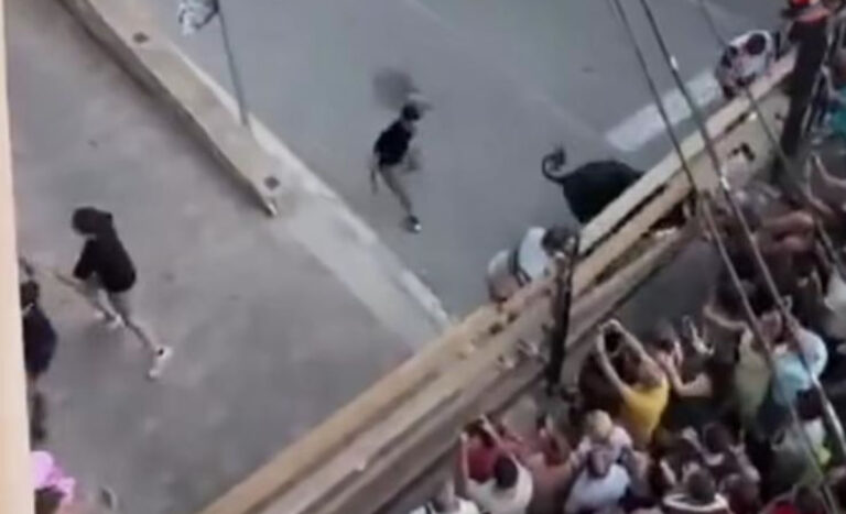 Resultan heridos al ser atacados por un toro en Alcalá del Júcar