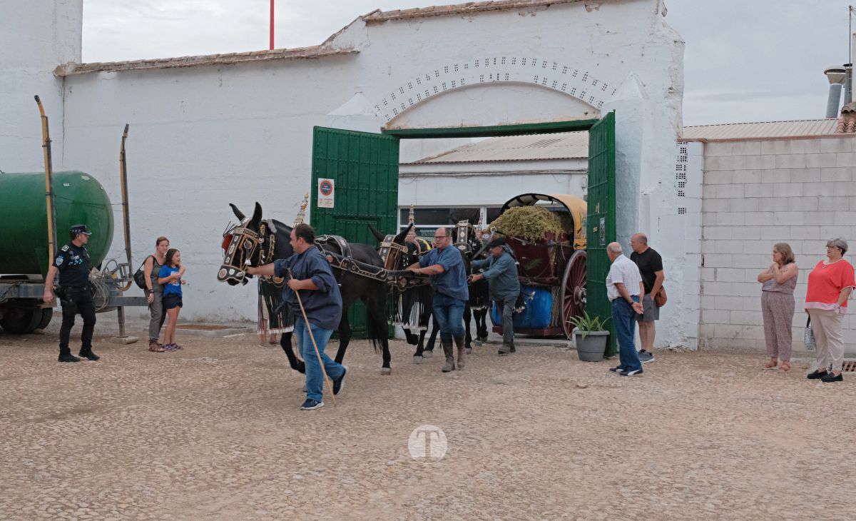 Eusebio Becerra, Vendimiador del Año 2025 en Tomelloso: "Tu historia es la de todos"