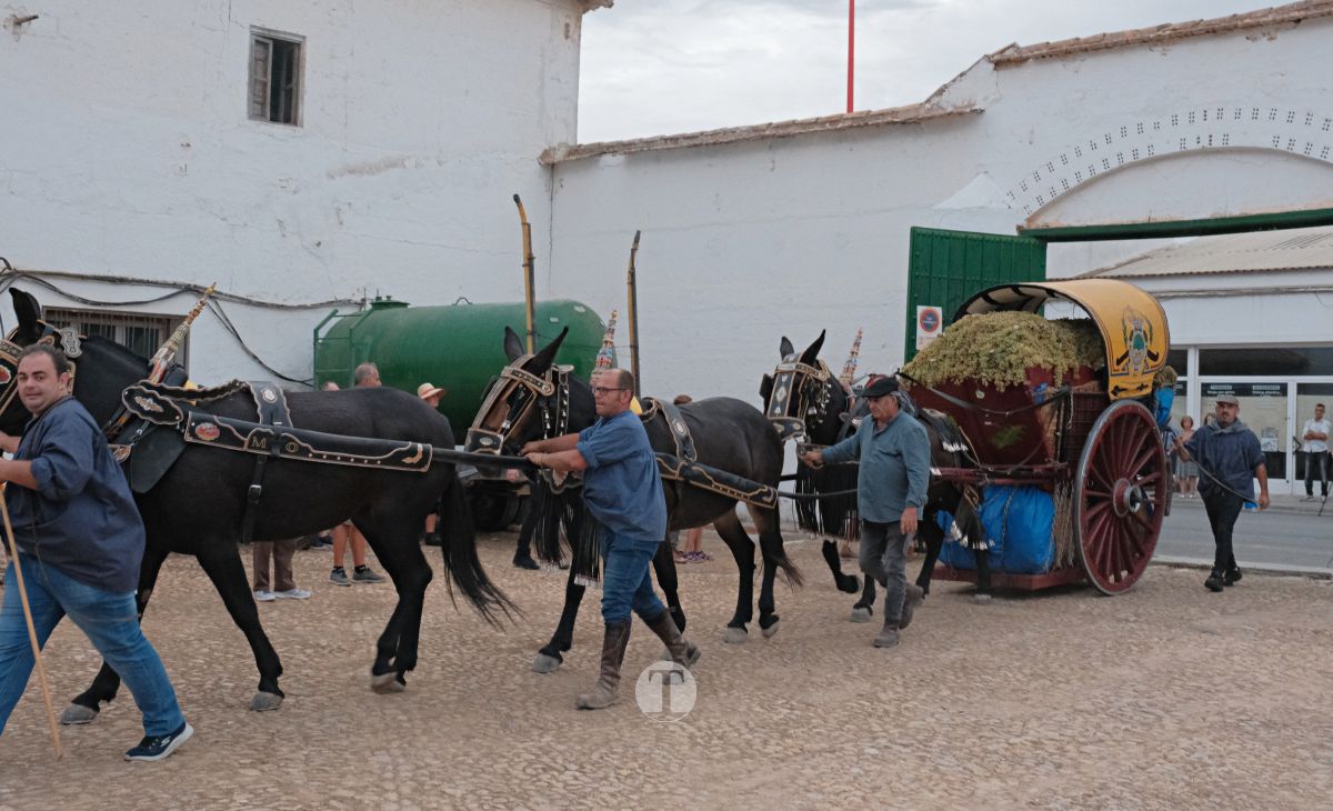 Eusebio Becerra, Vendimiador del Año 2025 en Tomelloso: "Tu historia es la de todos"