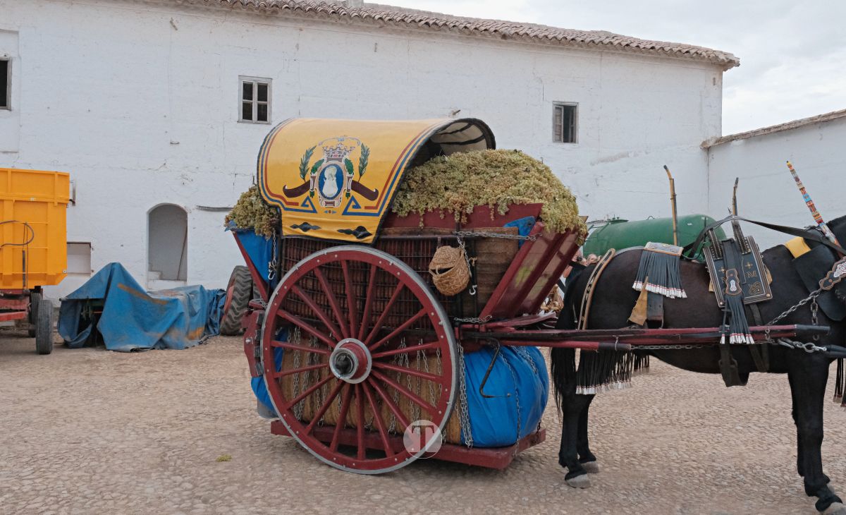 Eusebio Becerra, Vendimiador del Año 2025 en Tomelloso: "Tu historia es la de todos"