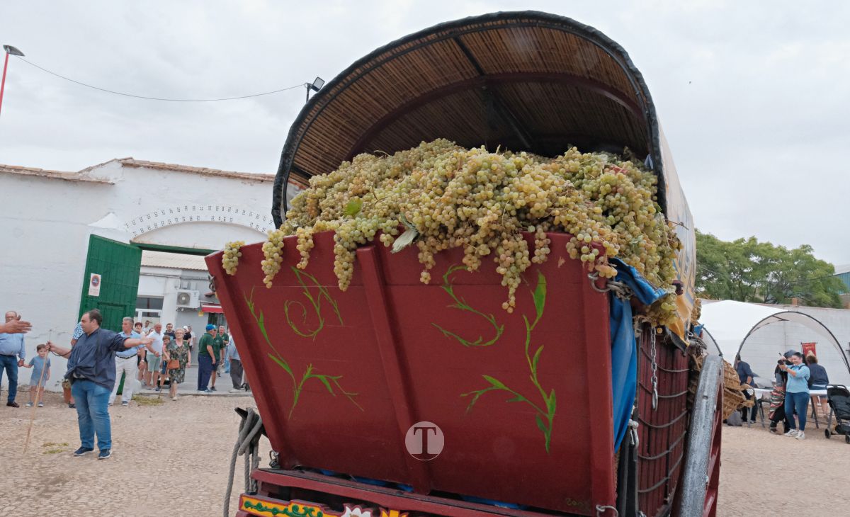Eusebio Becerra, Vendimiador del Año 2025 en Tomelloso: "Tu historia es la de todos"