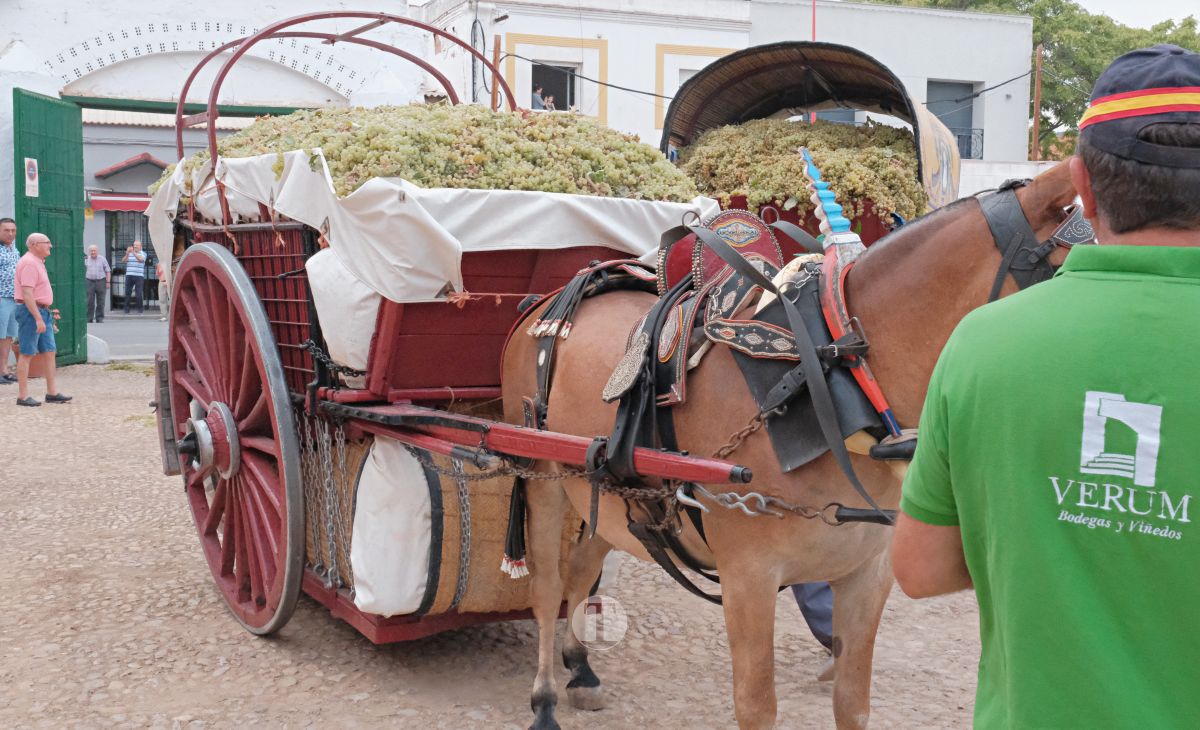 Eusebio Becerra, Vendimiador del Año 2025 en Tomelloso: "Tu historia es la de todos"