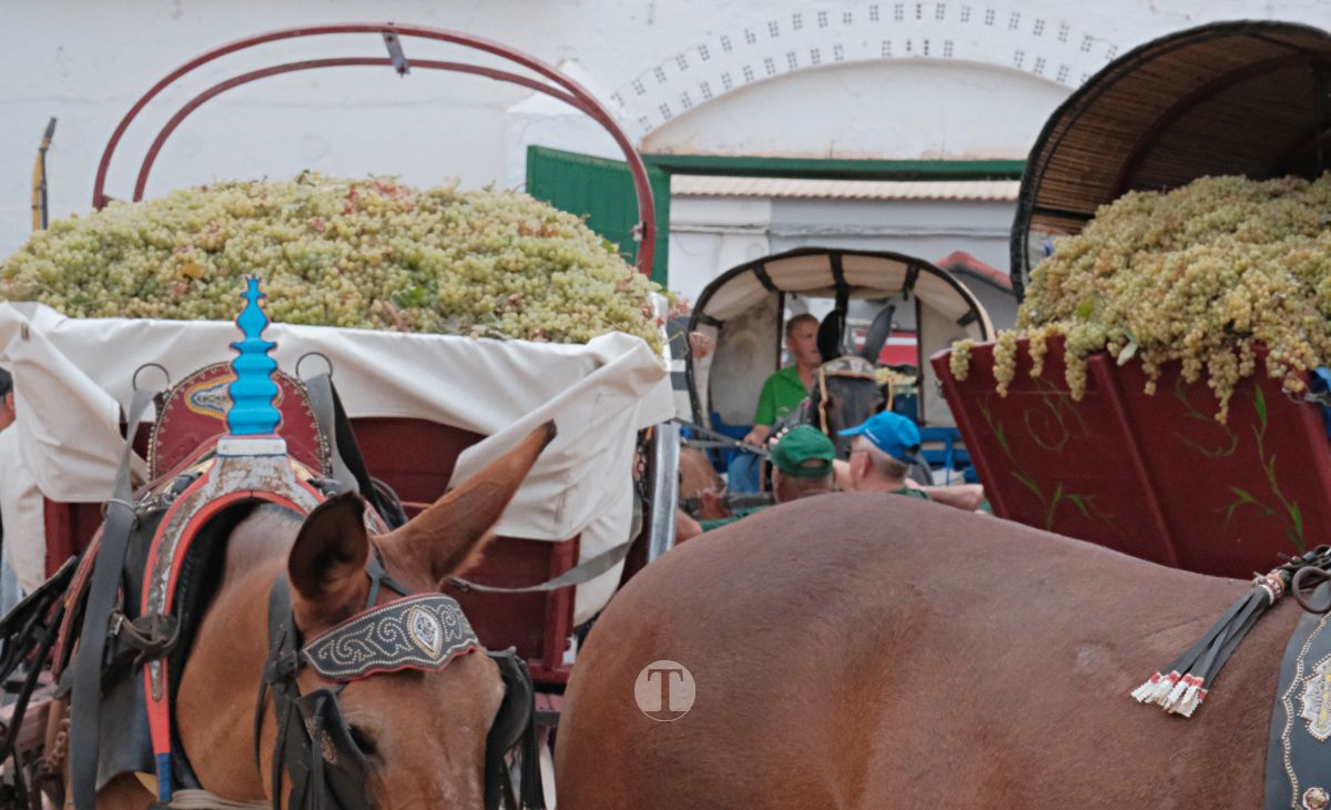 Eusebio Becerra, Vendimiador del Año 2025 en Tomelloso: "Tu historia es la de todos"