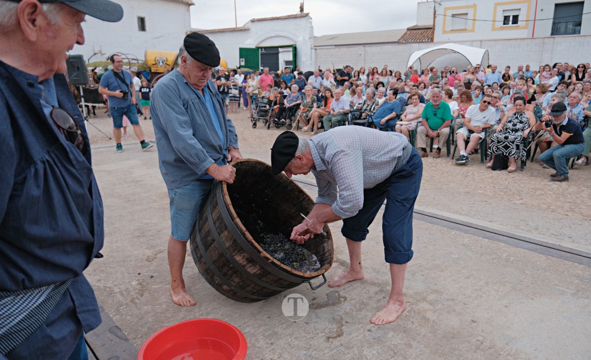 Eusebio Becerra, Vendimiador del Año 2025 en Tomelloso: "Tu historia es la de todos"