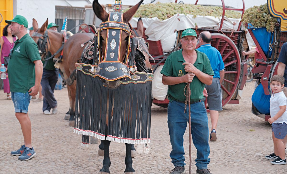Eusebio Becerra, Vendimiador del Año 2025 en Tomelloso: "Tu historia es la de todos"