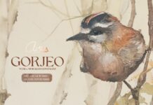 Gorjeo, de Nuria Morales: arte y naturaleza se citan en Ciudad Real