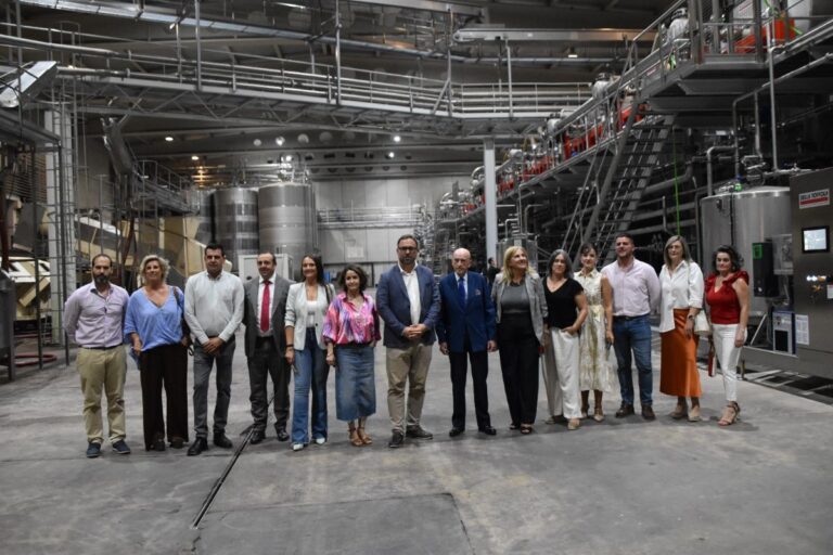 La vendimia continúa en Tomelloso con un 20-30 % menos de cosecha, pero de «muy buena» calidad