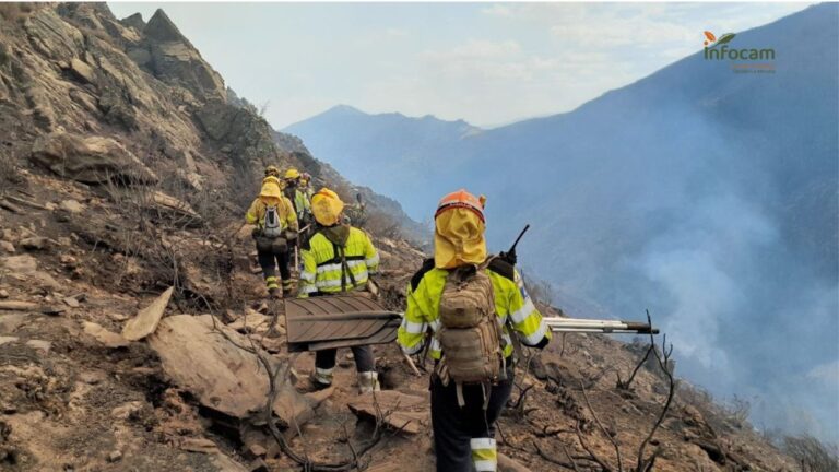 46 medios trabajan en el incendio de Guadalajara, que está en nivel 2