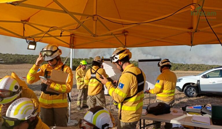 C-LM admite estar reduciendo medios del Infocam pero «despacio» por la situación climatología adversa
