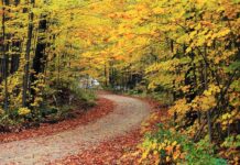 El otoño comienza este lunes a las 20.19 horas