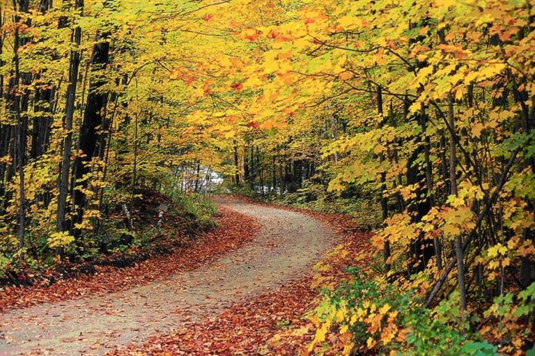 El otoño comienza este lunes a las 20.19 horas