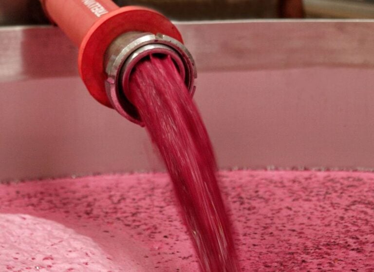 AIVE insta a no malvender vino, por debajo de costes de producción 