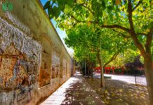 La luz en otoño es magia