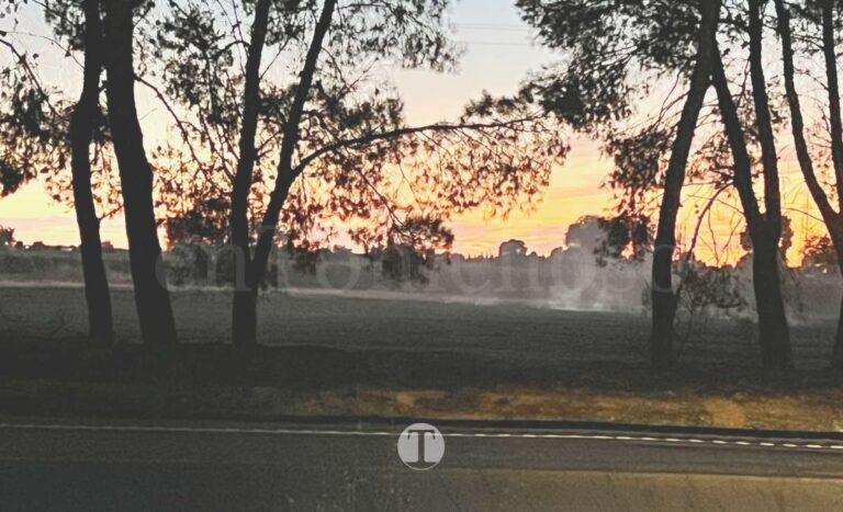 Incendio junto a la CM-400 obliga a cortar el acceso a Tomelloso desde la CM-42