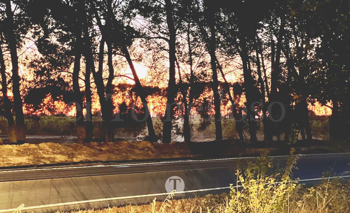 Incendio junto a la CM-400 obliga a cortar el acceso a Tomelloso desde la CM-42