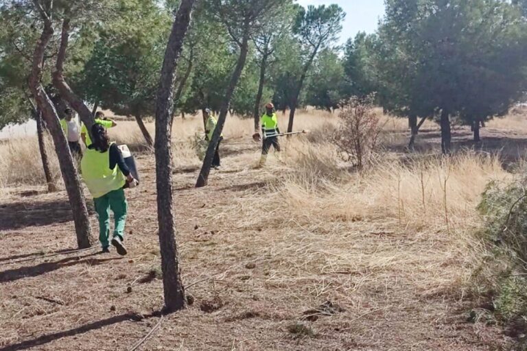 Tareas de desbroce, limpieza y poda en el Polígono Los Portales de Tomelloso