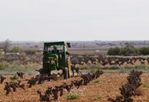 Muere un trabajador atropellado por un tractor en la finca El Lobillo