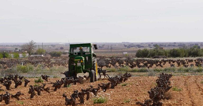 Castilla-La Mancha empieza a pagar el anticipo de la PAC